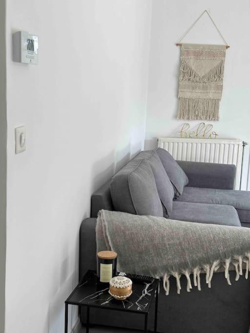 Charmant T3 Moderne Climatise Villeurbanne Zewnętrze zdjęcie